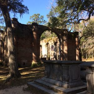 Meet your Posher, Tabitha